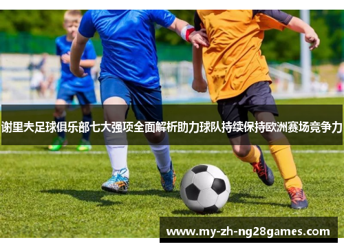 谢里夫足球俱乐部七大强项全面解析助力球队持续保持欧洲赛场竞争力 谢里夫足球俱乐部七大强项全面解析助力球队持续保持欧洲赛场竞争力