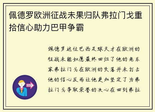 佩德罗欧洲征战未果归队弗拉门戈重拾信心助力巴甲争霸 佩德罗欧洲征战未果归队弗拉门戈重拾信心助力巴甲争霸